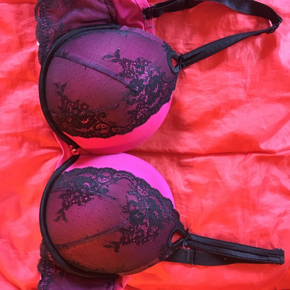 Torrid bras